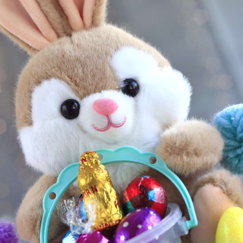Tierno Conejo de Pascua de peluche con chocolates